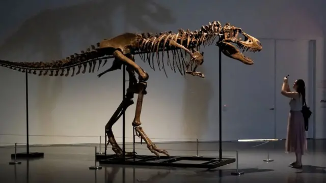 Si les mammifères ont survécu aux dinosaures, c'est notamment parce qu'ils avaient un régime alimentaire adaptable.