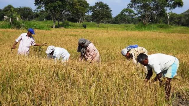 'යුද්දෙන් පස්සේ ඉතිරි වුණු සල්ලි කෝ?'