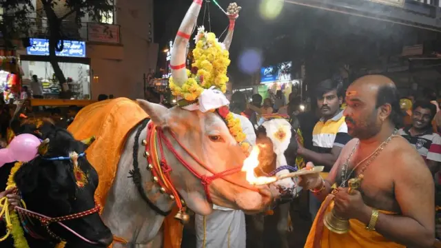 પ્રતીકાત્મક તસવીર