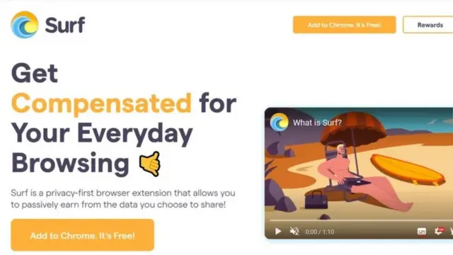 સર્ફ વેબસાઇટ