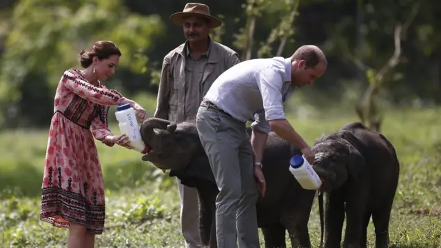 Prince William na Catherine wakiwalisha wanatembo katika hifadhi ya Panbari eneo la Kaziranga jimbo la Assam nchini India Aprili 13, 2016