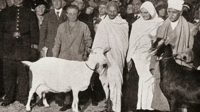 మీరా బెన్, గాంధీ