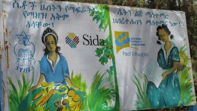 Waldaaleen hawaasaa dhimmoota hawaasummaa adda addaa irratti tajajaila kennu