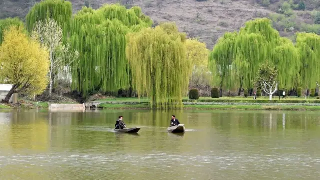 श्रीनगर