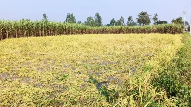 उत्तर प्रदेश