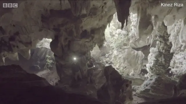 ఇండోనేసియా గుహలో బయటపడ్డ పురాతన చిత్రాలు