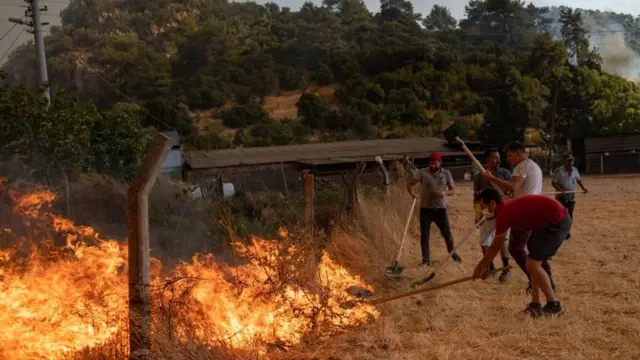 Местные жители в районе Мармарис пытаются сами остановить огонь
