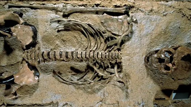 У Homo erectus, непосредственного предка современных людей, процесс родов мог протекать гораздо легче…