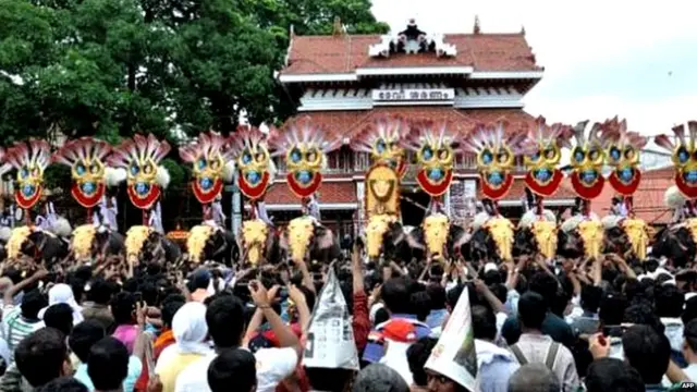 हाथी, मौत, जानवर, तमिलनाडु, केरल