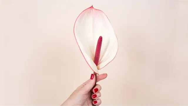 ઘણા અભ્યાસોમાં એવું જોવા મળ્યું છે કે કામેચ્છા ધરાવતી સ્ત્રી અને તેની સમસ્યા ધરાવતી સ્ત્રીઓ વચ્ચે ટેસ્ટોસ્ટેરોનના પ્રમાણમાં કોઈ ફરક હોતો નથી