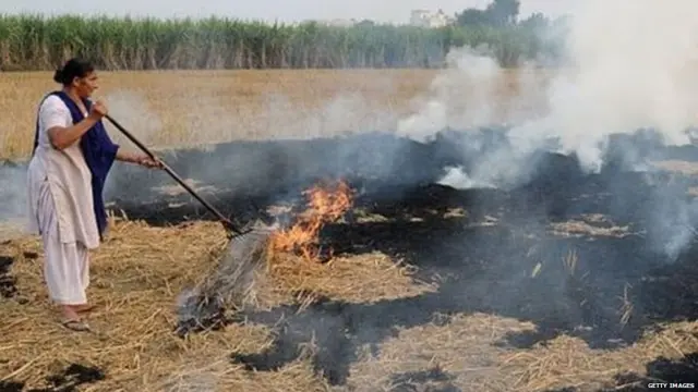 ਪਰਾਲੀ ਸਾੜਨਾ