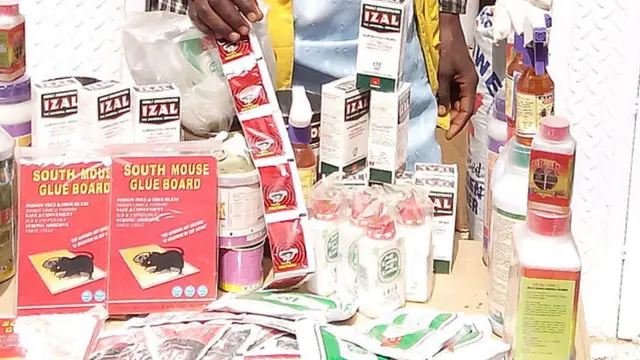 lassa fever, new drugs,