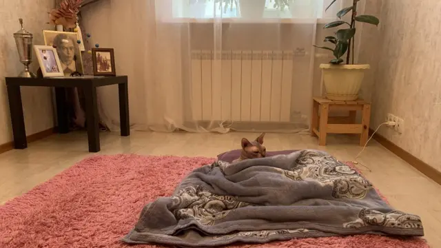 Квартира Иноземцевых