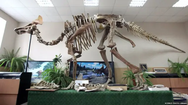 هډروسارس د ډکبېل له ډوله ډایناسور و چې ۶۵ تر ۸۰ میلیون کاله وړاندې یې ژوند کاوه.