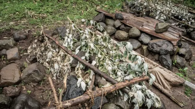 Awwaala Jumlaa namoota magaalaa xiqqoo Cinaa jedhamtutti ajjeefamanii