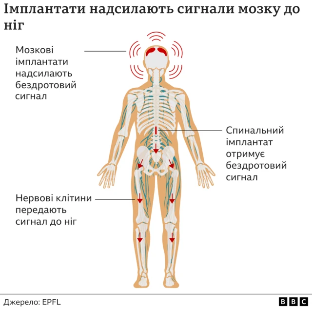 графіка