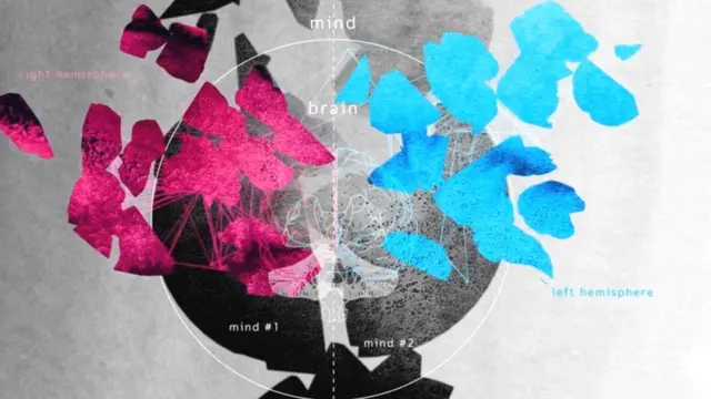 दिमाग कैसे काम करता है