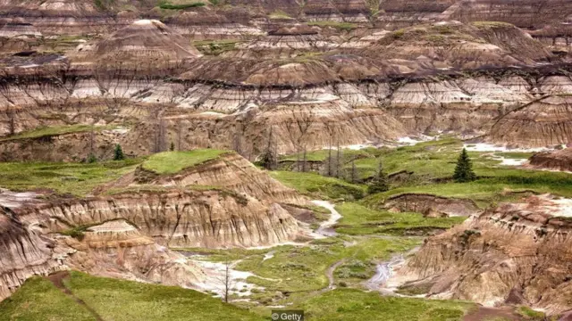 Kanadanın Badlands ərazisində yatan sümüklər buranı dinozavr fosillərinin ən zəngin olduğu bölgələrdən biri edir
