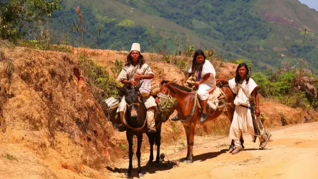 arhuaco