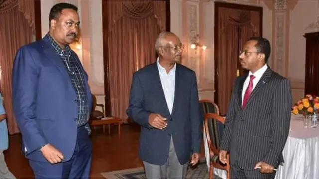 Dr Warqinee Gabayyoo, Obbo Daawud Ibsaa fi Obbo Lammaa Magarsaa Asmaraatti, Hagayya 8 bara 2020