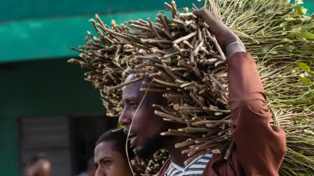 Daldalaa jimaa baatee jiru