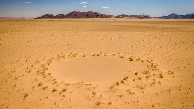 africa