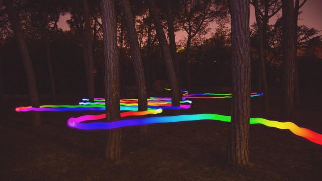 Floresta com feixemega sena gigaluz colorido