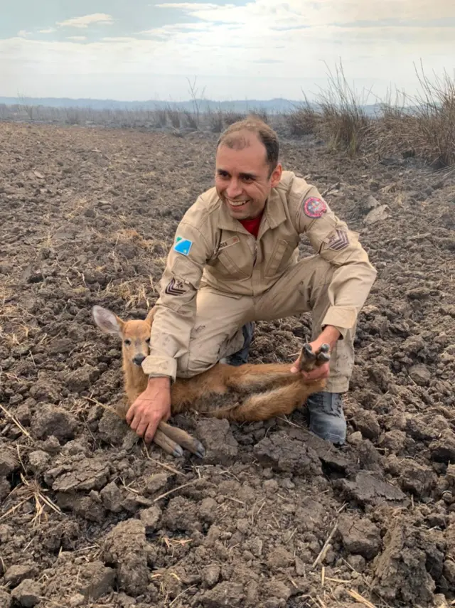 Bombeiro segura cervo afetada por incêndio