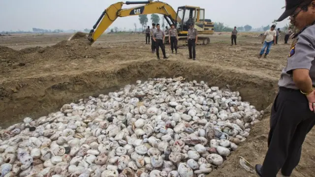 หลุมที่เต็มไปด้วยตัวนิ่ม