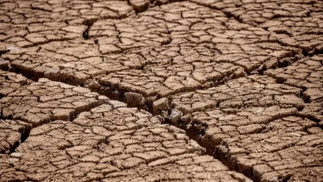 Засуха в Каталонии