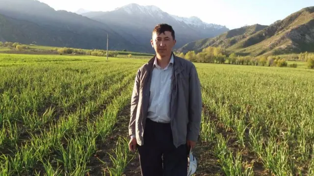 Көлдүк ишкер Элдияр Абдыкеримов органикалык сарымсак тигип, түшүмүн сатып ишкерлик кылат