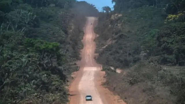 மழைக் காடுகள் வழியே அமைக்கப்பட்ட சாலை