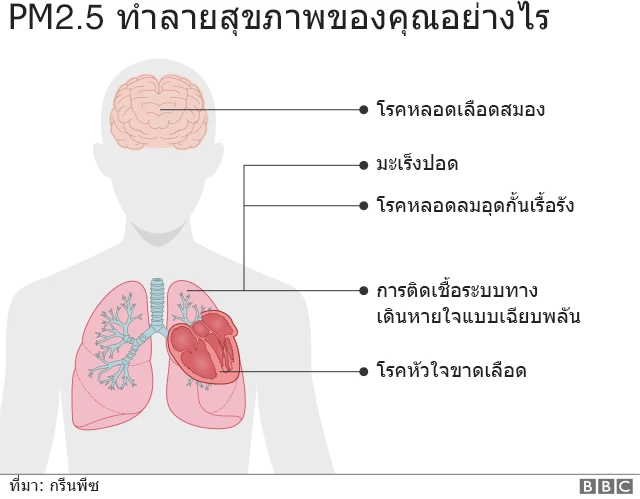 กราฟิก