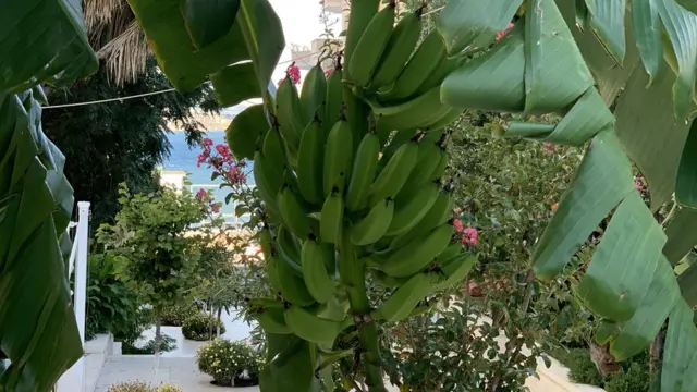 Albanija, avgust 2020.