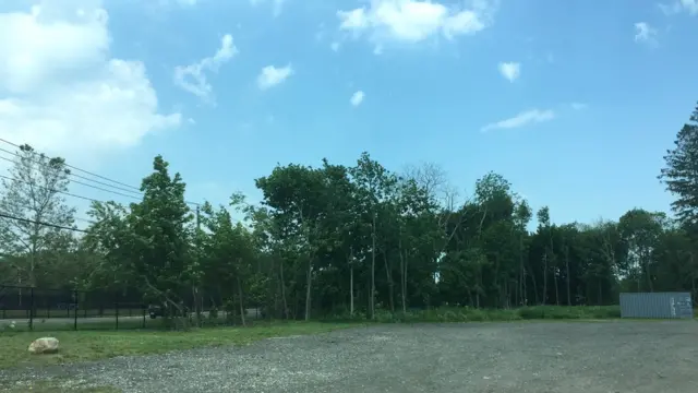 Árboles que rodean al parque de Central Islip