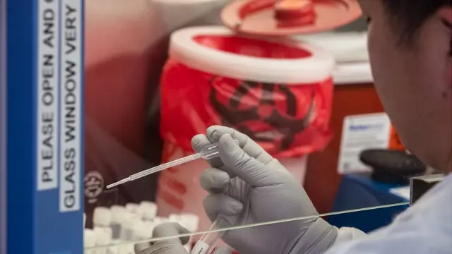 Búsqueda de la vacuna