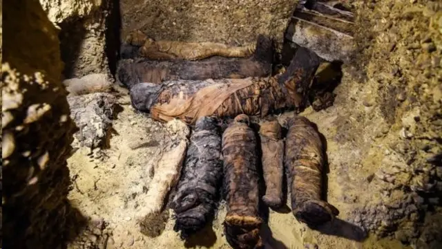 සොයාගත් මමී අතර කුඩා දරුවන්ගේ මමී ද විය