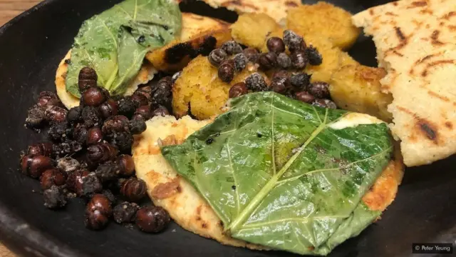 चींटियां