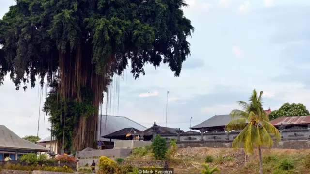Kata Kolok is only used in the village of Bengkala, Bali, where an unusually large proportion of the population has been born deaf