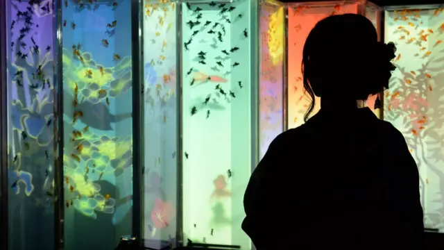 Mujer frente a un acuario