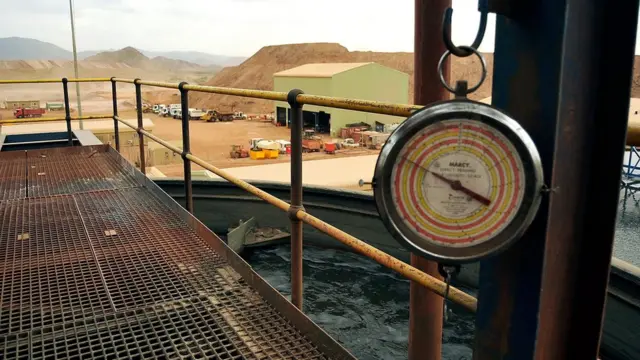 ኣብ ቢሻ ዝርከብ ዕደና ነሓስን ዚንጎን 17 ሓምለ 2013