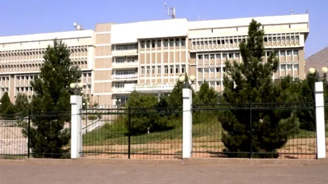 Университет