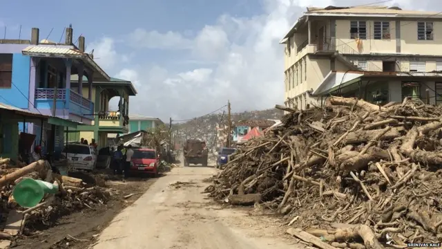 वादळात पडलेली झाडे