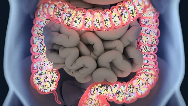 পাকস্থলীর ভাল ব্যাকটেরিয়াগুলিকে মাইক্রোবাইওম নামে ডাকা হয়।