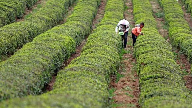 Guizhou, zona rural da China