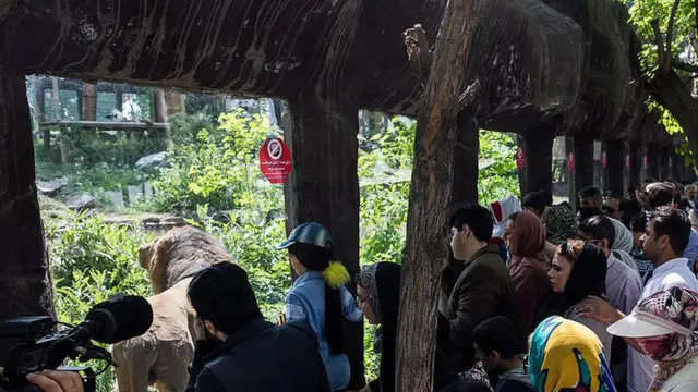 شیر نر آسیایی