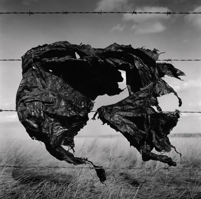 Пластиковий пакунок, що зачепився за колючий дріт