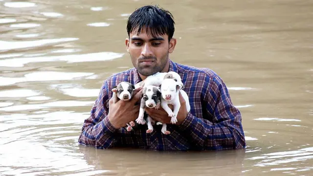 गुजरात बाढ़