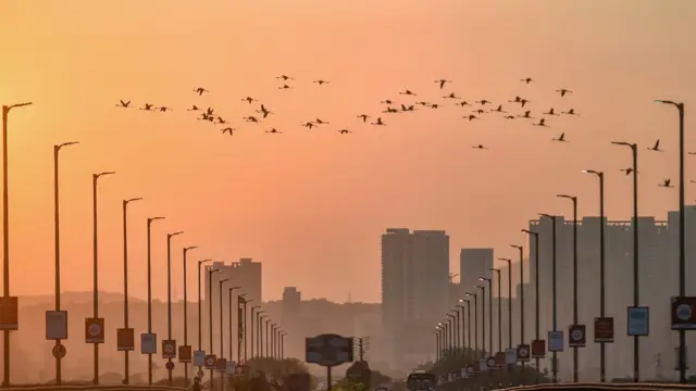 दिल्ली, प्रदूषण, कोरोना वायरस