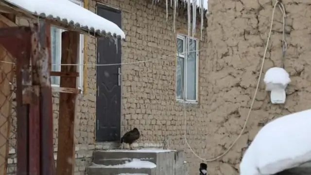 "Трансформация" кыймылынын төрагасы Бекназар Айталиев башка учурда эстен чыккан бул жашоочулар шайлоодо арыдан-бери эле жолу табылып, атайын тизмеге алынып добуш берерин, шайлоо бүтөөрү менен тас кейпинде кала берерин айтууда.